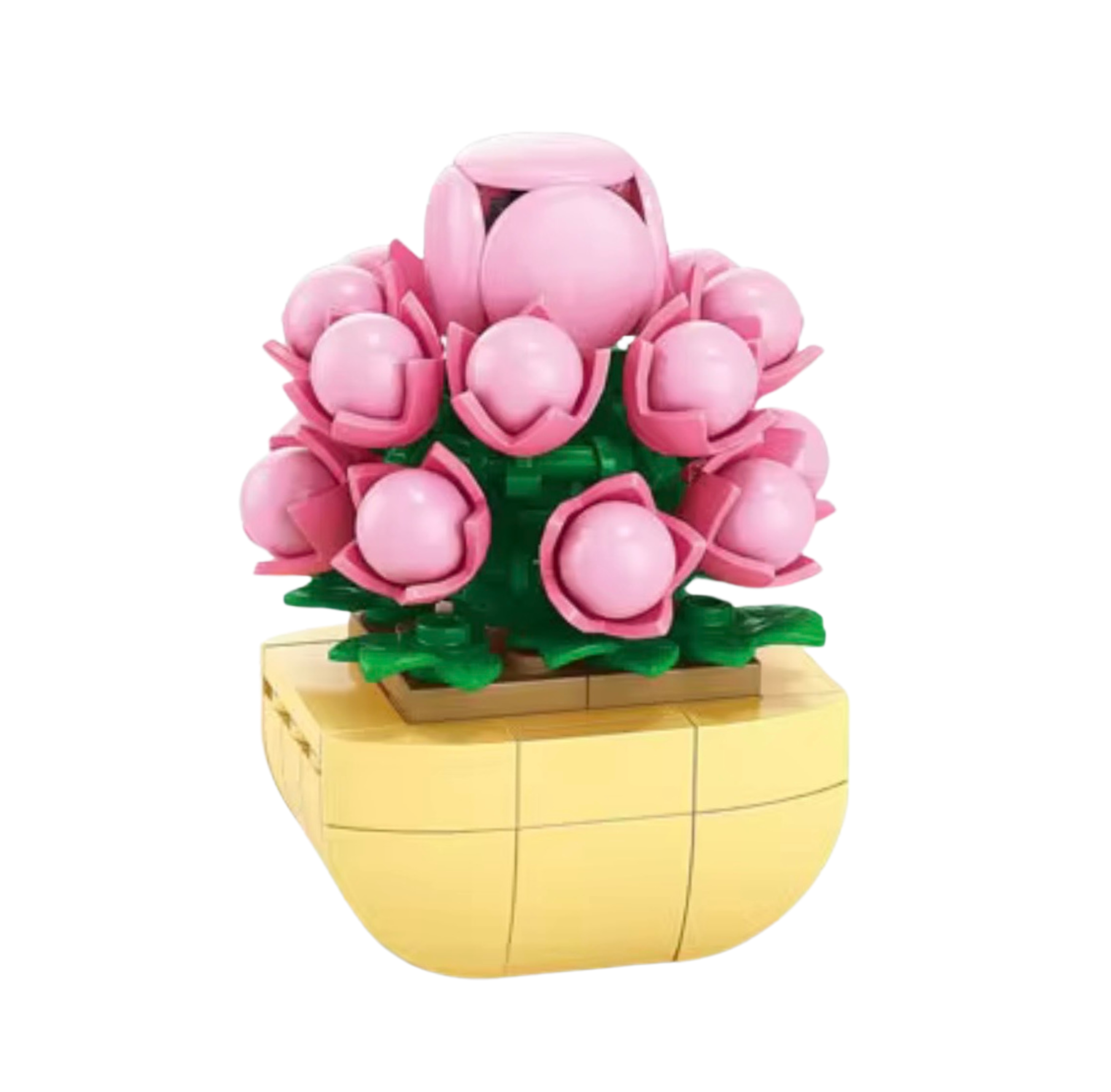 Pink Small Ball Rose Succulent Building Block Set