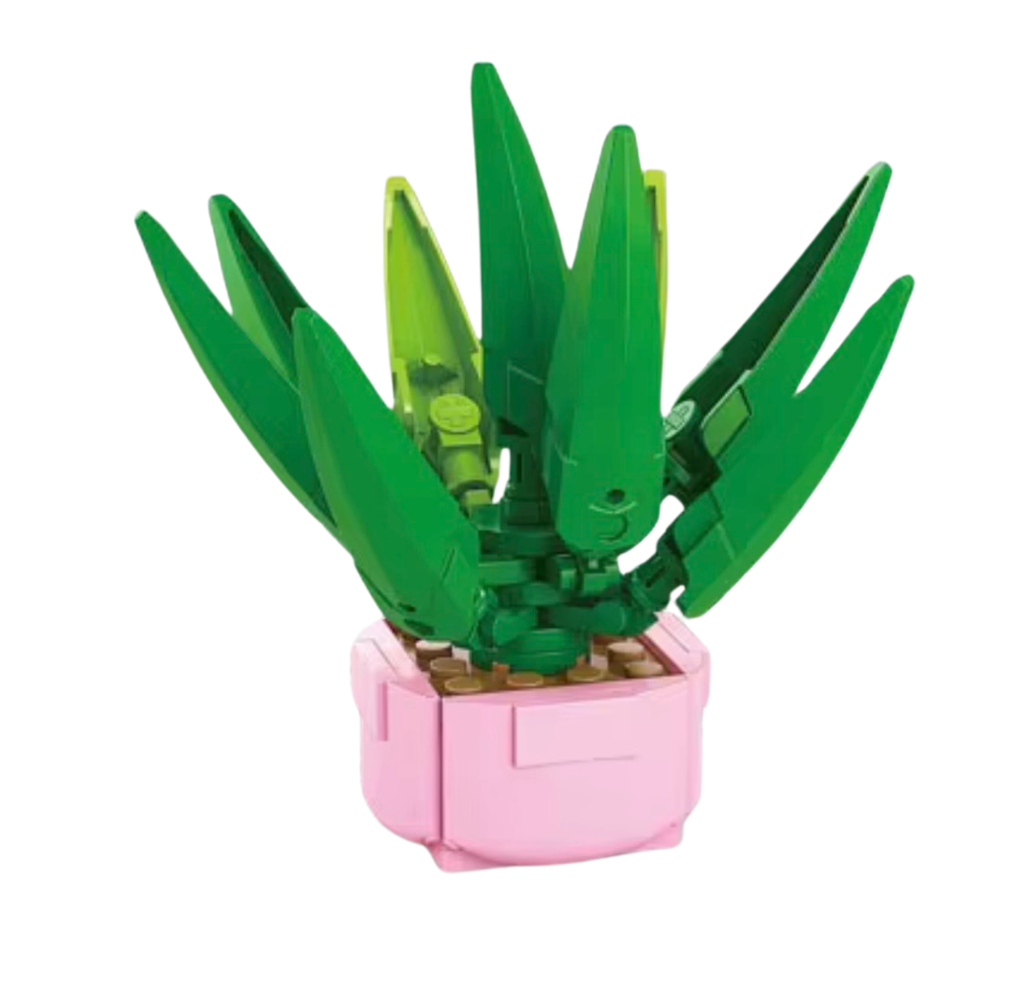 Cymbidium Orchid Succulent Building Block Set