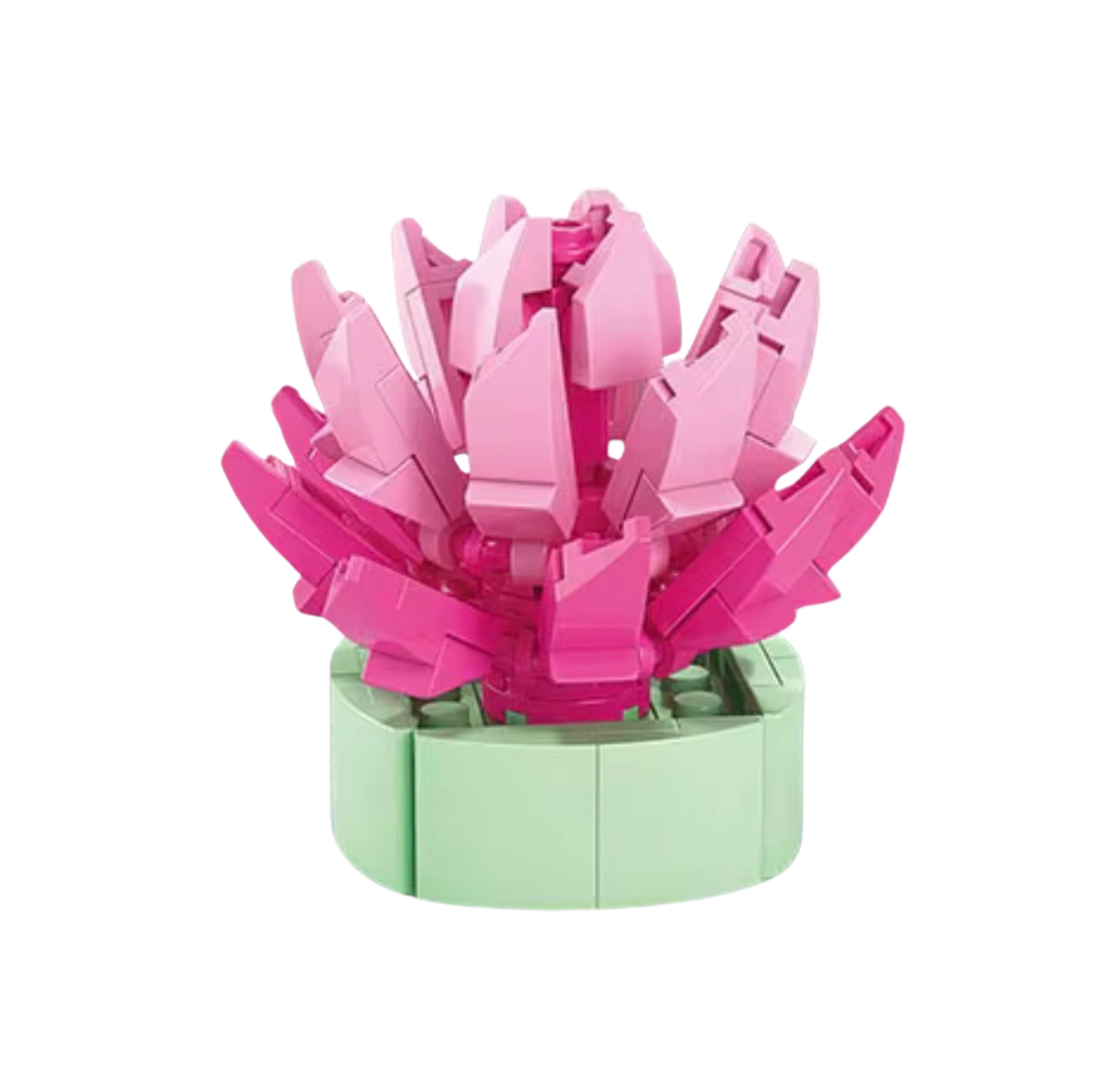 Pink Echeveria Succulent Building Block Set