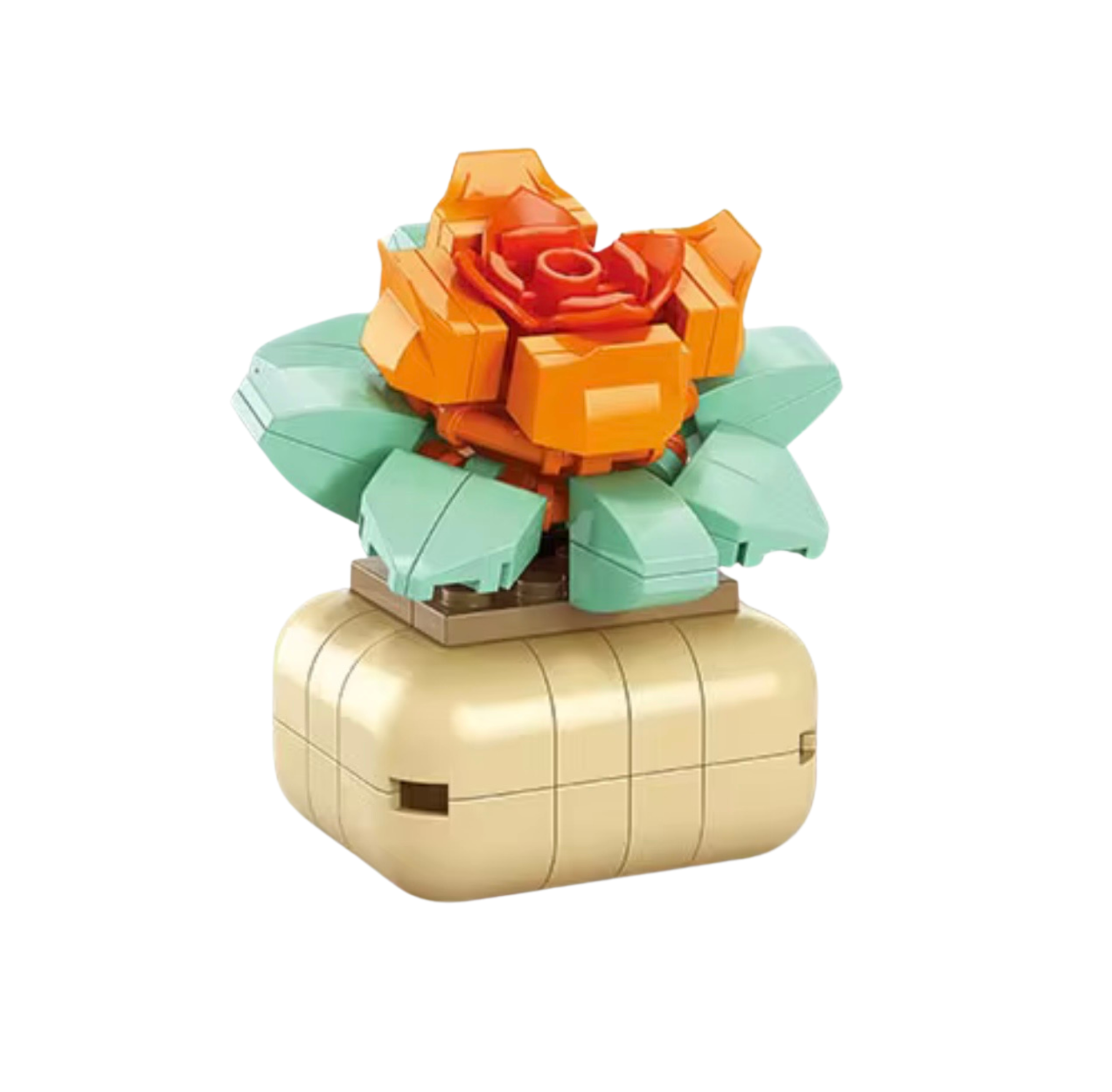 Echeveria Succulent Building Block Set